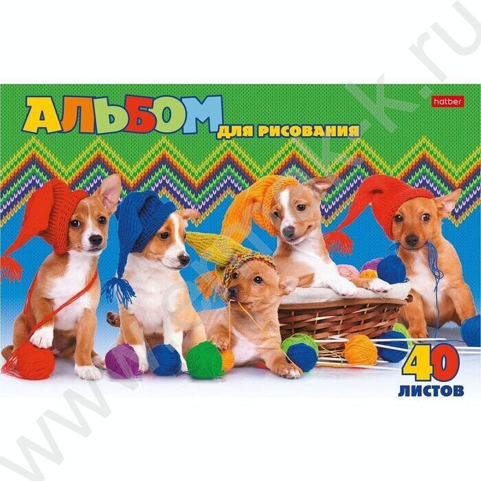 Альбом д/рисования 40л "Ассорти"  5видов | Фото 4