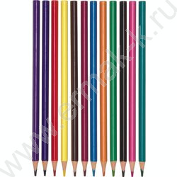 Карандаши пластиковые 12цв Funcolor 4вида карт.туба | Фото 2