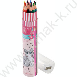 Карандаши пластиковые 12цв Funcolor 4вида карт.туба | Фото 5