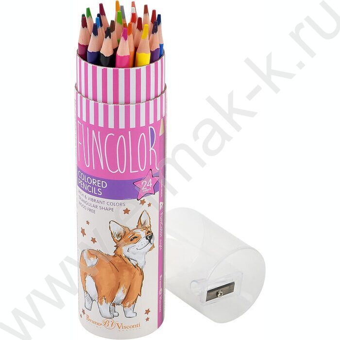Карандаши пластиковые 24цв Funcolor 4вида карт.туба | Фото 4