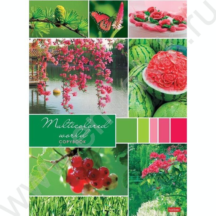 Тетрадь  96л А4 клетка "Разноцветный мир" 3вида | Фото 1