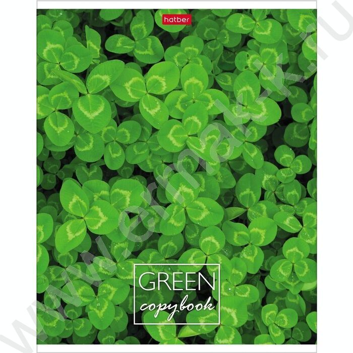 Тетрадь  96л клетка "MOREgreen" 5видов | Фото 2