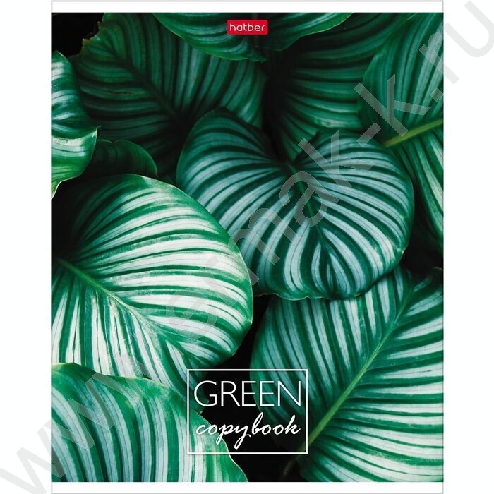 Тетрадь  96л клетка "MOREgreen" 5видов | Фото 3