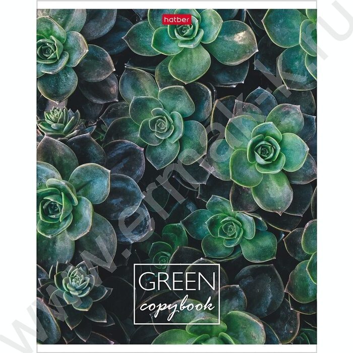 Тетрадь  96л клетка "MOREgreen" 5видов | Фото 5