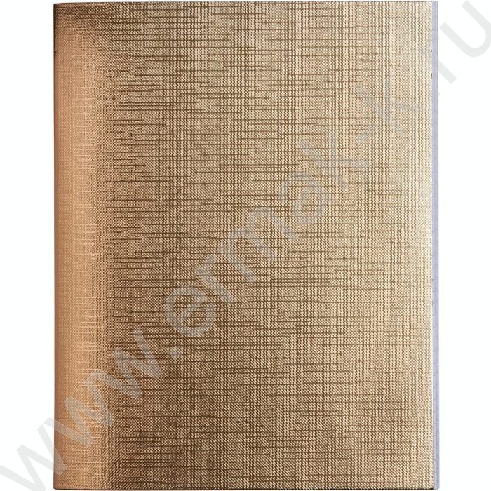 Тетрадь  48л линейка "Бум/винил" METALLIC золото | Фото 1