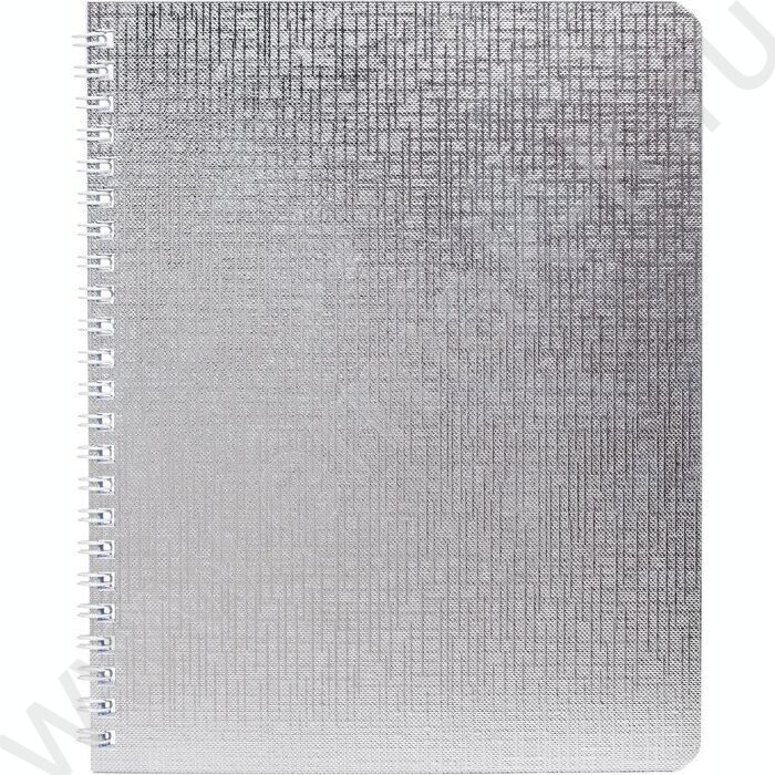 Тетрадь  48л клетка/спираль "Бум/винил" METALLIC серебро | Фото 1
