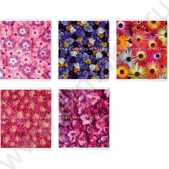 Тетрадь  48л клетка "Цветочный паттерн" ассорти | Фото 1