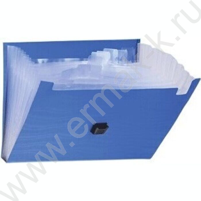 Папка-портфель с замком "Daily" 13отд. синий А4 | Фото 2