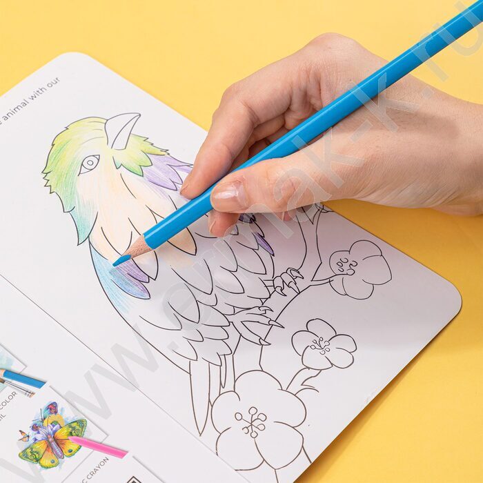 Карандаши  24цв Color Emotion липа /трехгранные/ европодвес | Фото 6