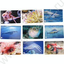 Мемо Водный мир 50 карточек | Фото 2