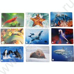 Мемо Водный мир 50 карточек | Фото 3