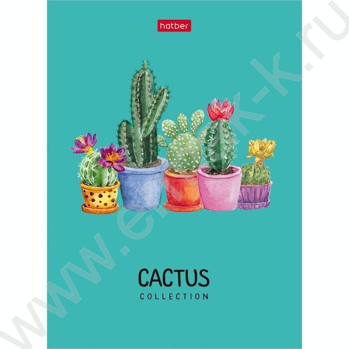 Блокнот  48л А6 "Positive" ламинация 8видов | Фото 2