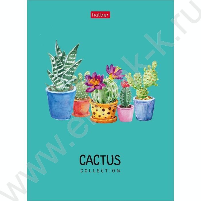 Блокнот  48л А6 "Positive" ламинация 8видов | Фото 4