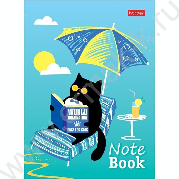 Блокнот  24л А6 "Милые создания" ламинация 8видов | Фото 1