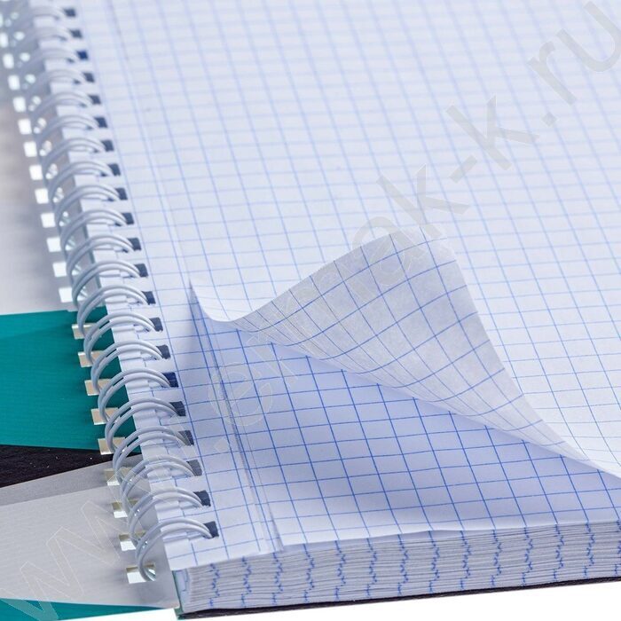Тетрадь 100л клетка/спираль/карман "WorkBook" /лак/ | Фото 3