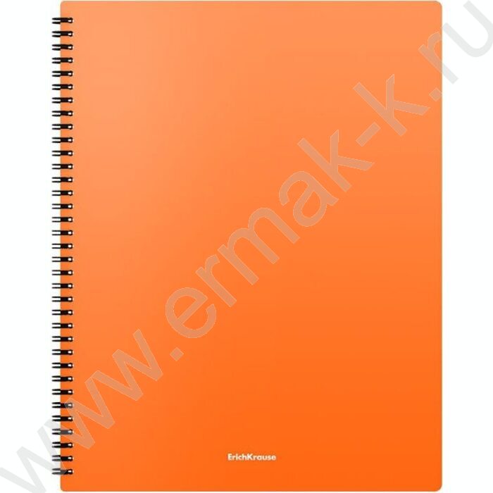 Папка  20 файлов Matt Neon ассорти /спираль | Фото 4