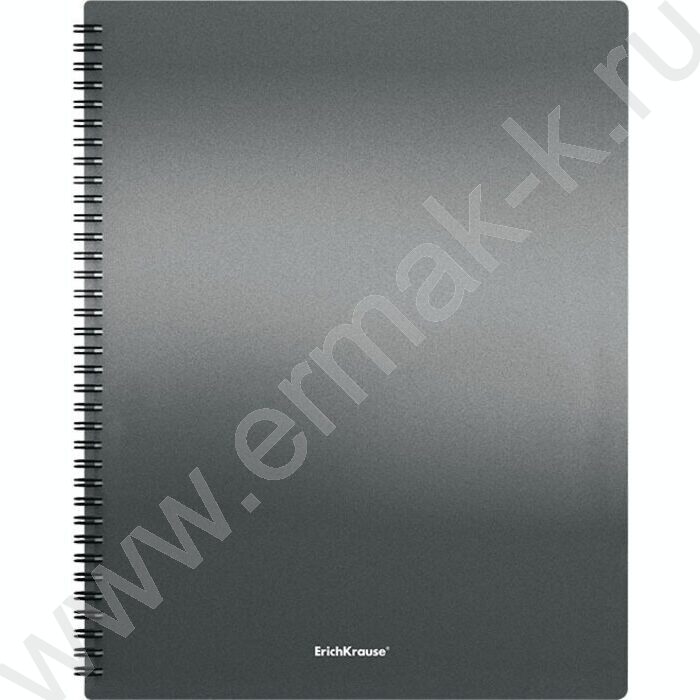 Папка  20 файлов Matt Ice Metallic ассорти /спираль | Фото 4