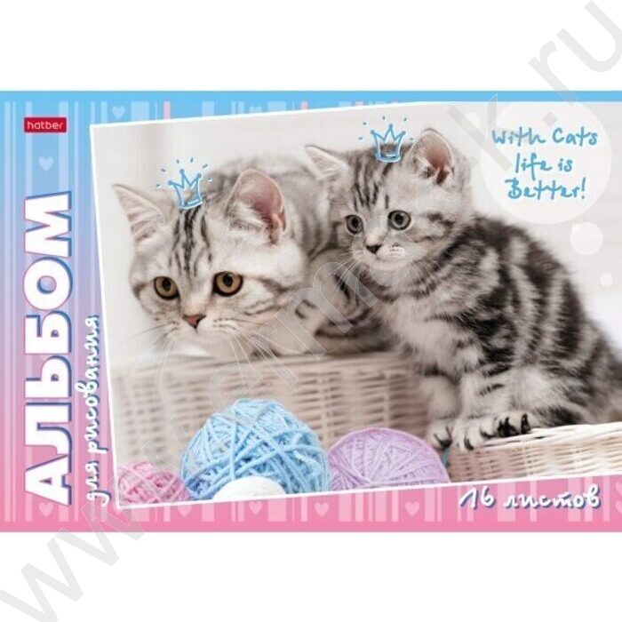 Альбом д/рисования 16л "Мур-Мяу" 5видов | Фото 2