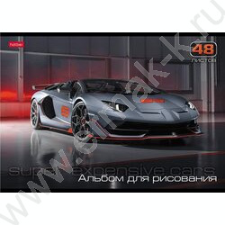 Альбом д/рисования 48л "АвтоЛюкс" 5видов | Фото 1