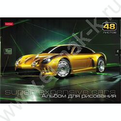Альбом д/рисования 48л "АвтоЛюкс" 5видов | Фото 2