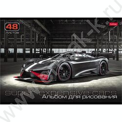 Альбом д/рисования 48л "АвтоЛюкс" 5видов | Фото 5